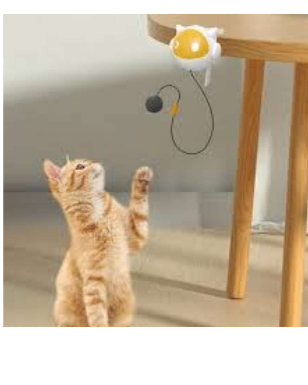 Juguete interactivo para Gatos